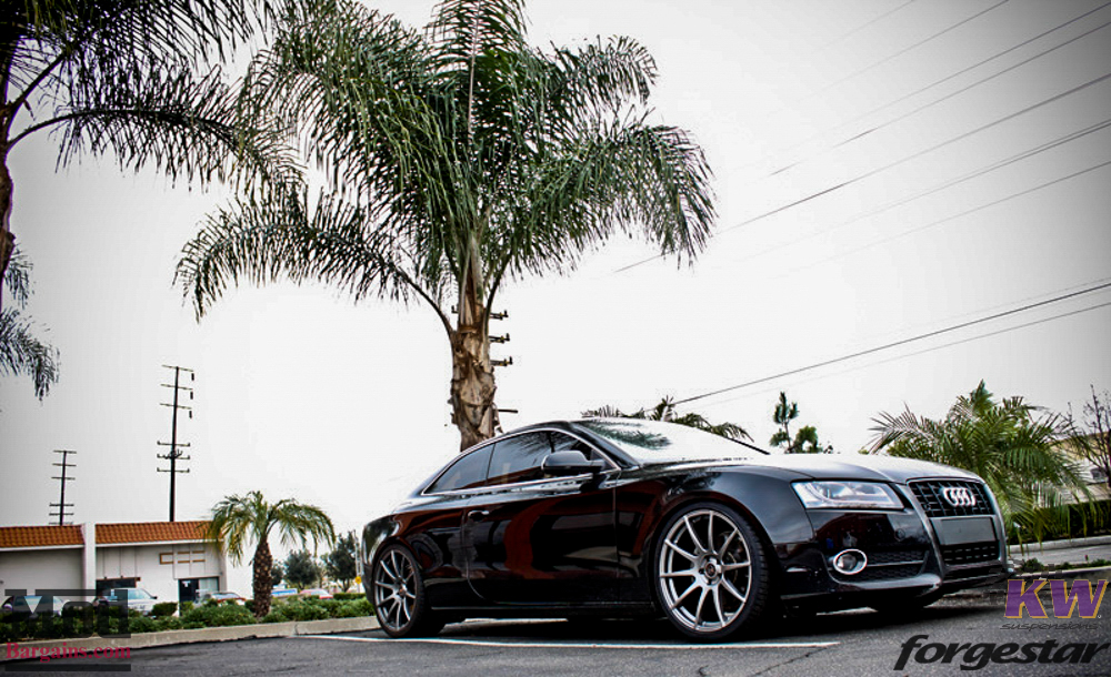 Audi B8 A5 Forgestar CF10 Gunmetal 19x85 KW V1 RS Grille (3)