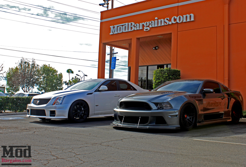 modbargains-domestic-jurrian-mike