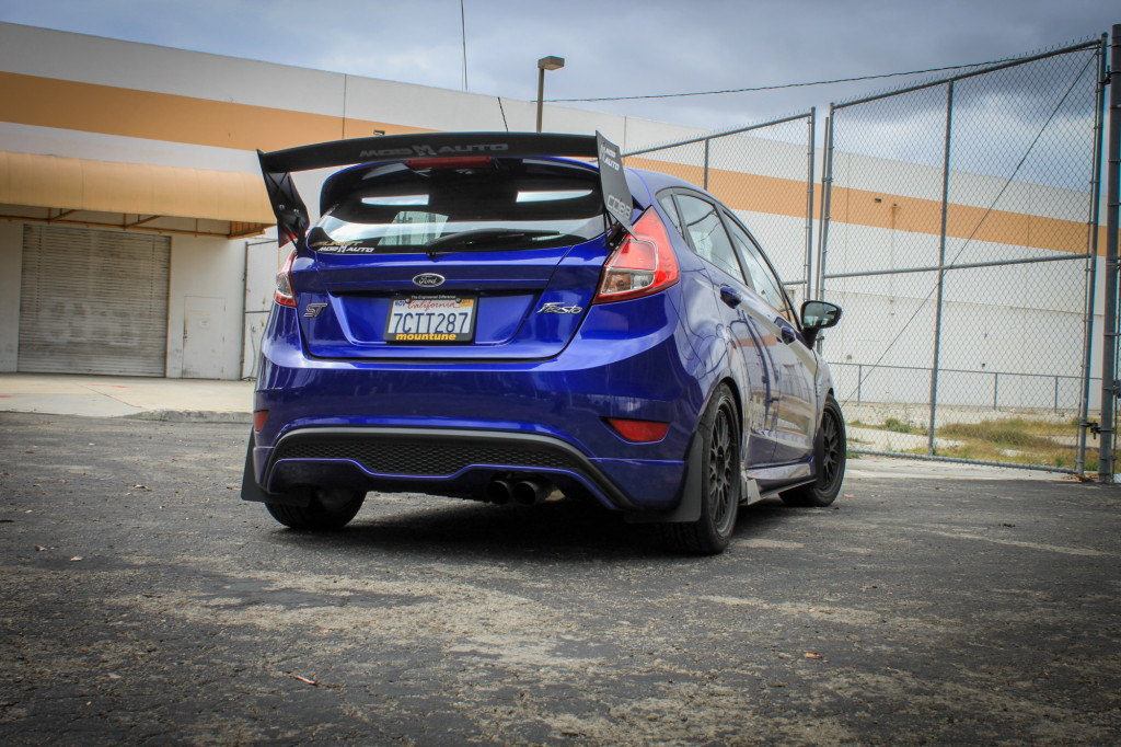 Fiesta_ST_Cobb_RALLY_INNOV_nowatermark-15