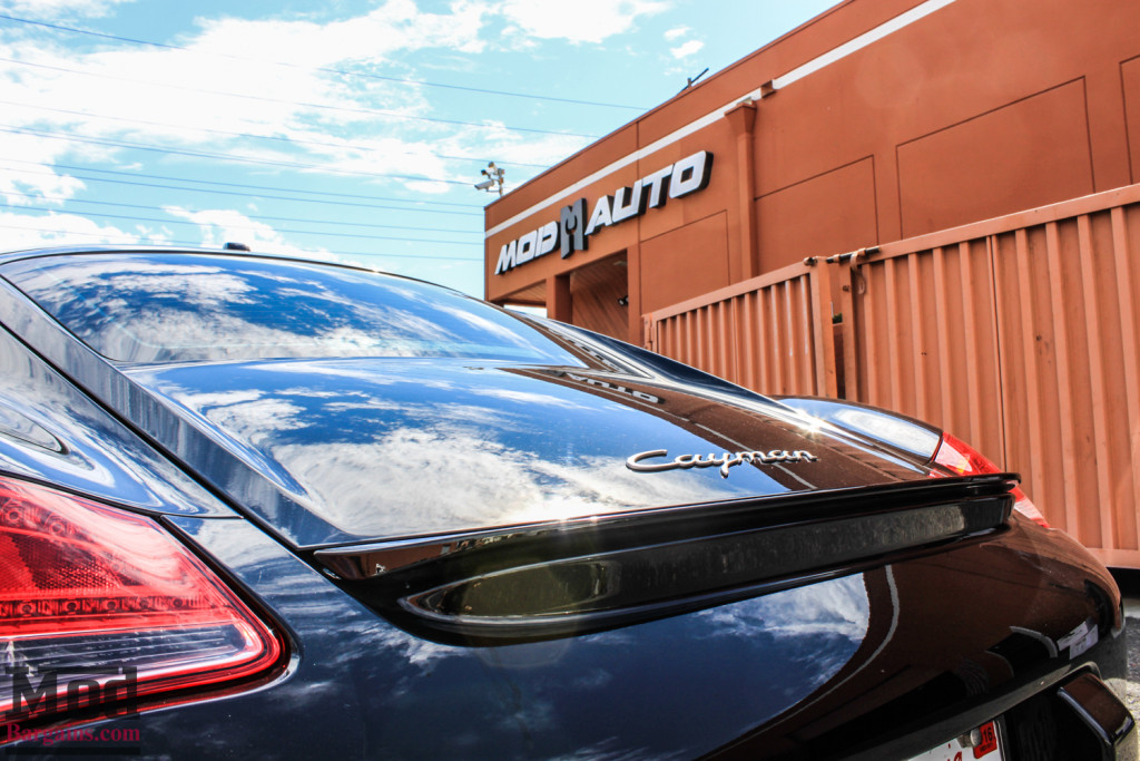 Porsche_Cayman_HR_Springs_Ruger_Mesh-15