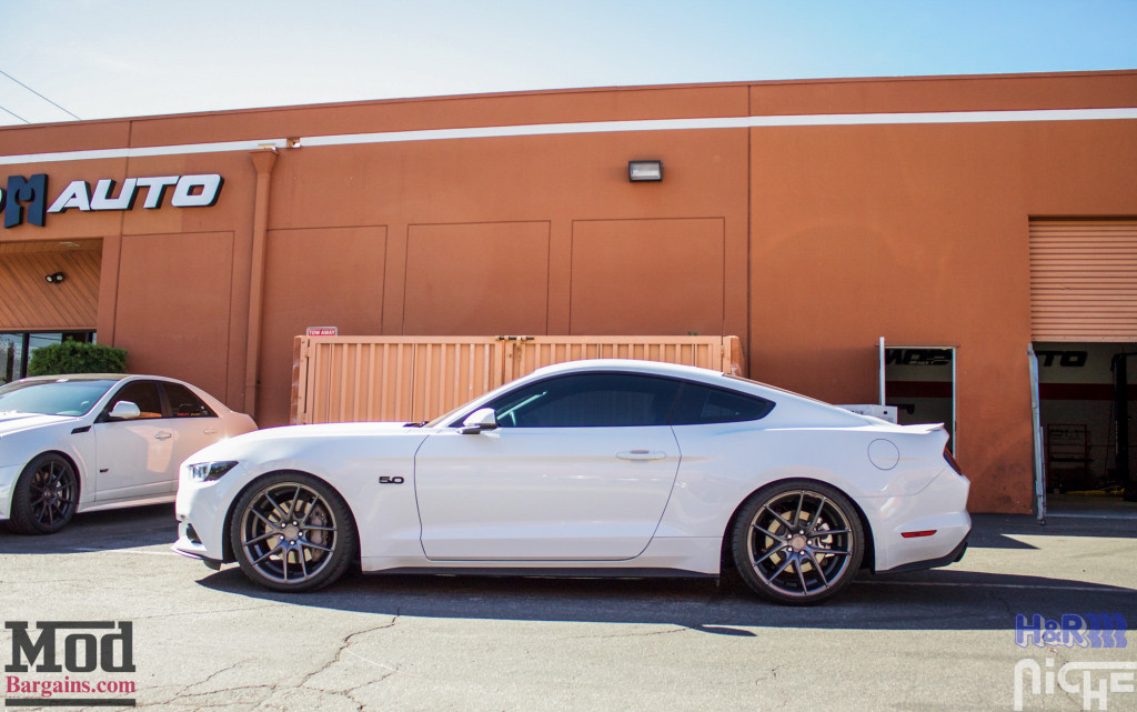 Ford_S550_Mustang_GT_HR_SuperSport_Niche_Targa_