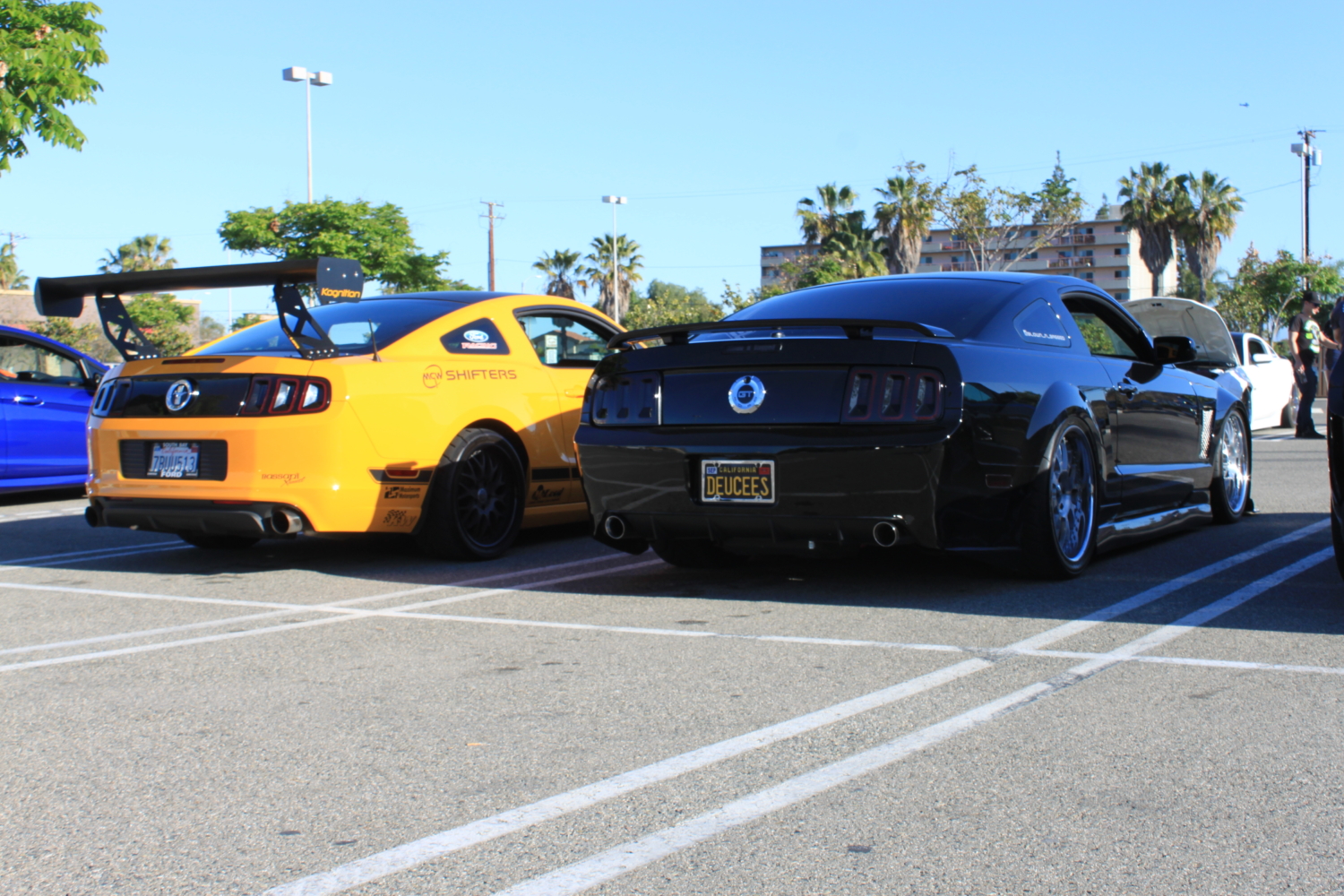 Fabulous Fords 2016 (299)