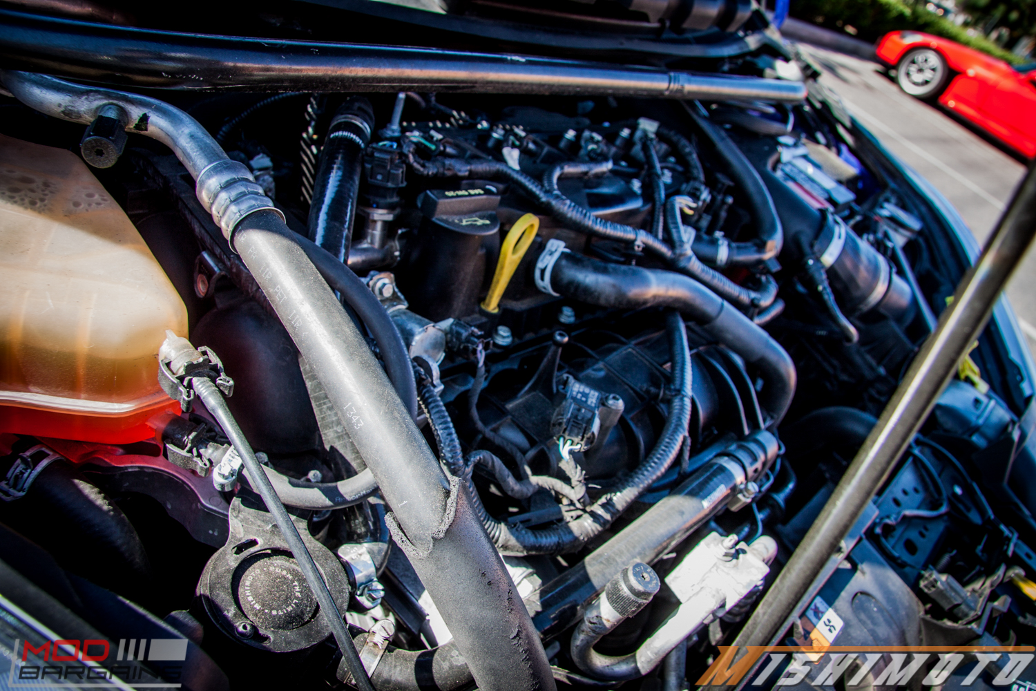 fiesta-st-modded-injen-intake-mishimoto-oil-catch-can-6