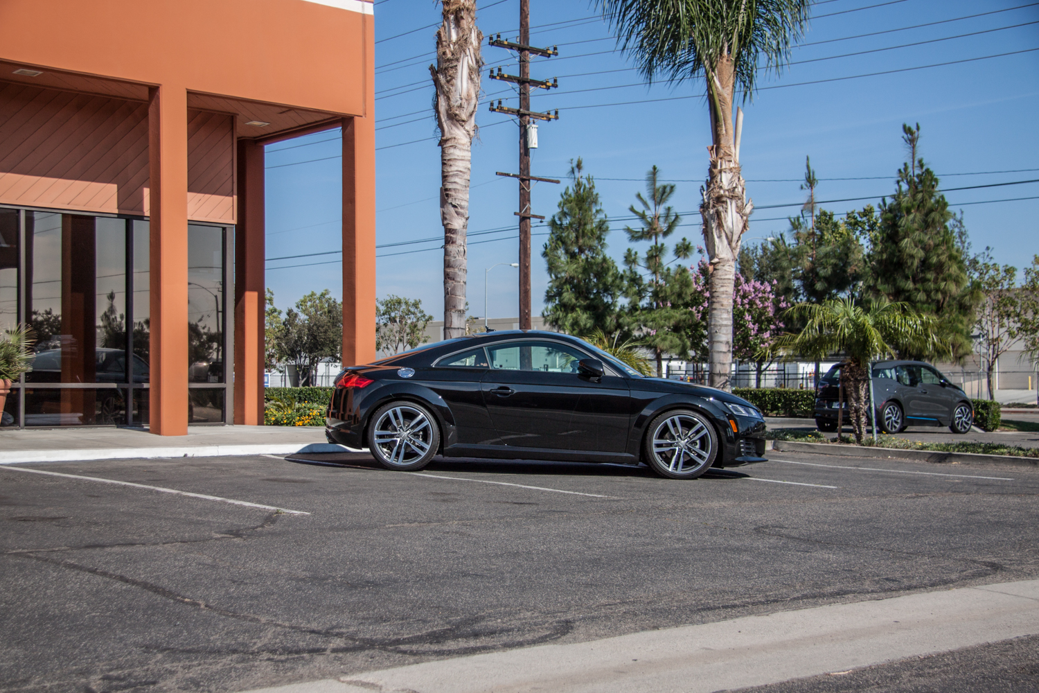 Audi TT MK 3 Lowering Springs (1)