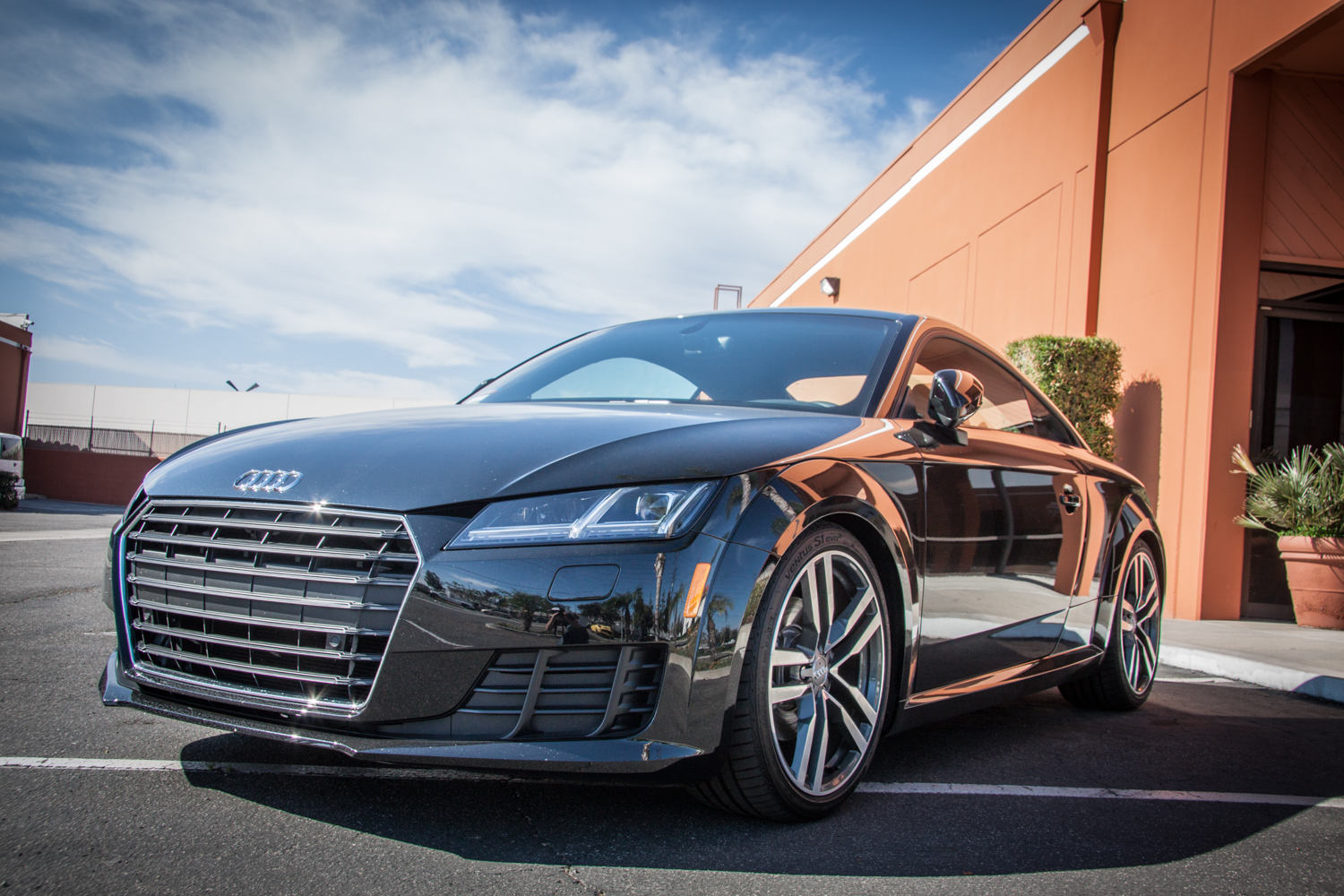 Audi TT MK 3 Lowering Springs (10)