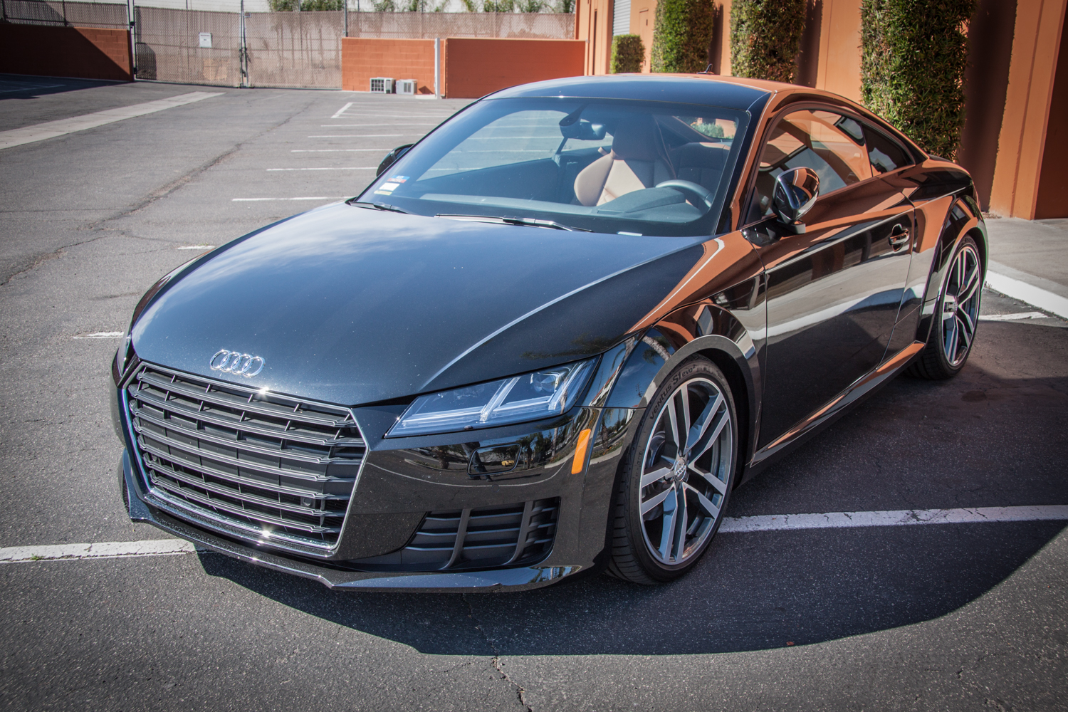 Audi TT MK 3 Lowering Springs (11)