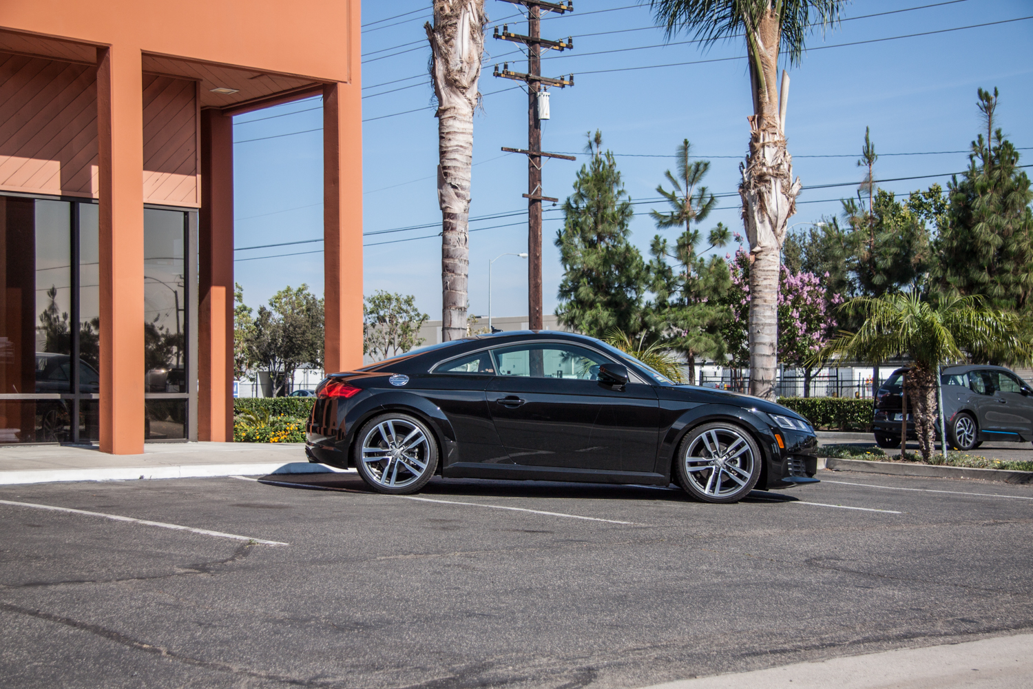 Audi TT MK 3 Lowering Springs (2)