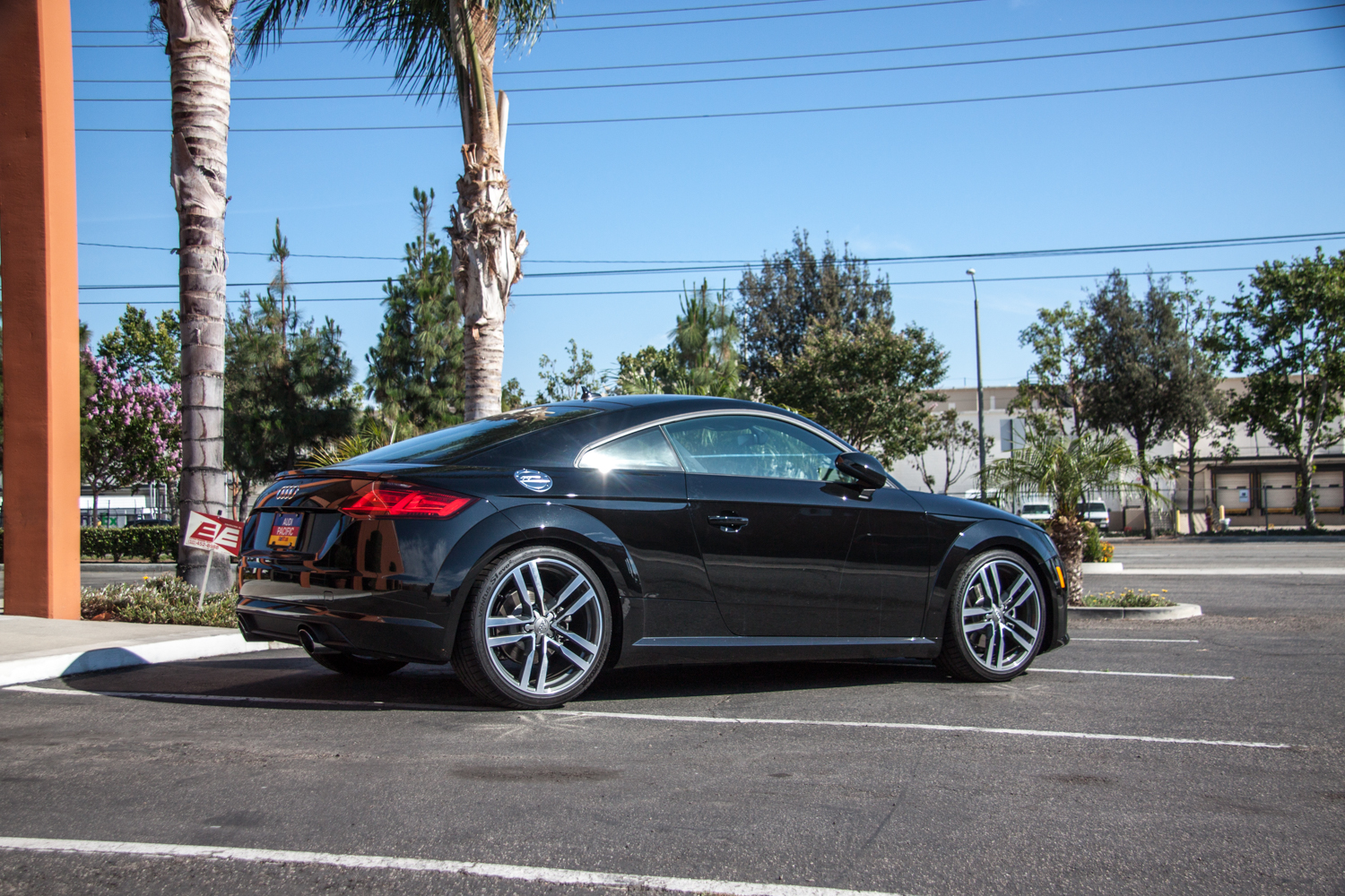Audi TT MK 3 Lowering Springs (4)
