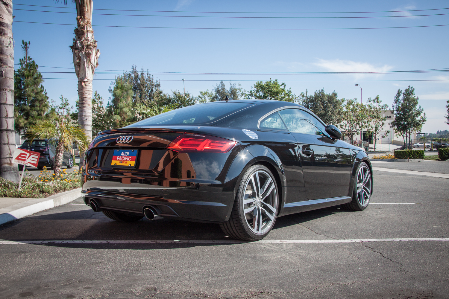 Audi TT MK 3 Lowering Springs (5)