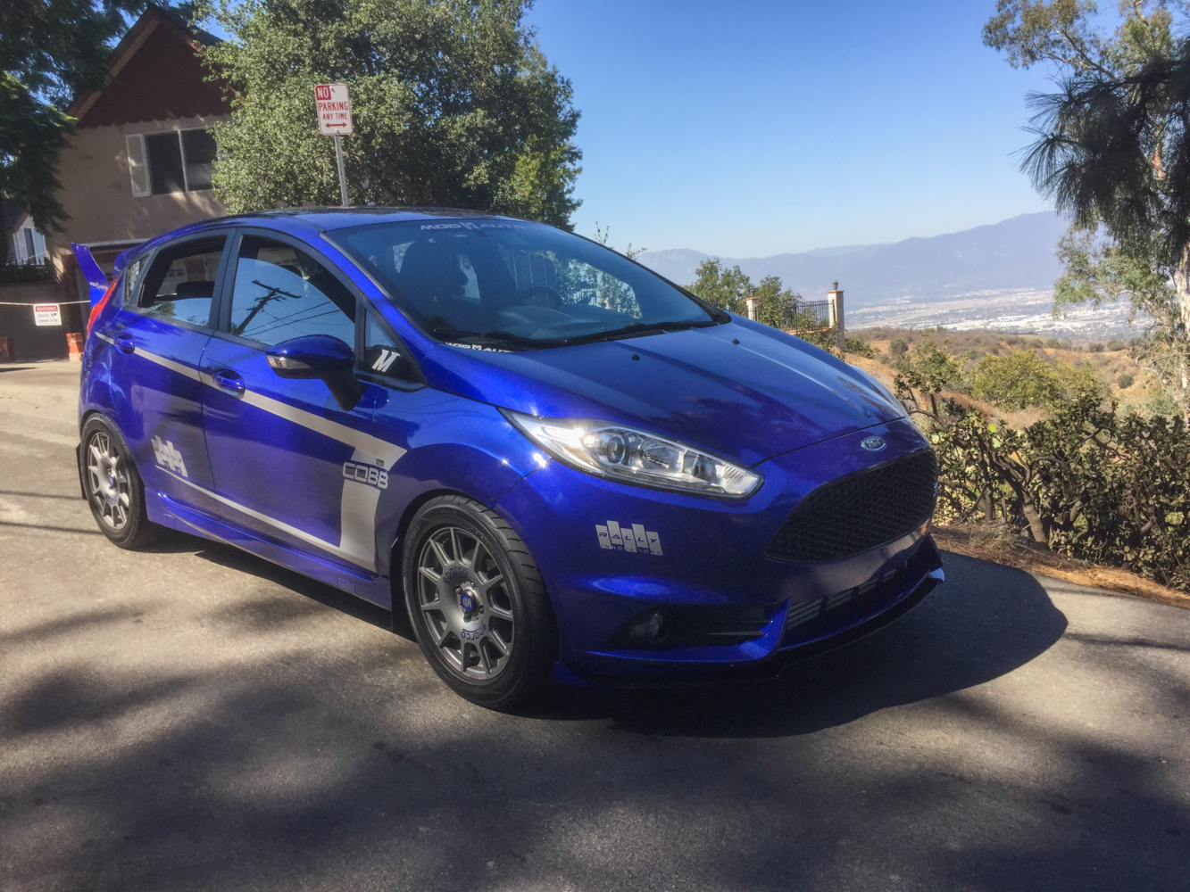 fiesta-st-turnbull-1