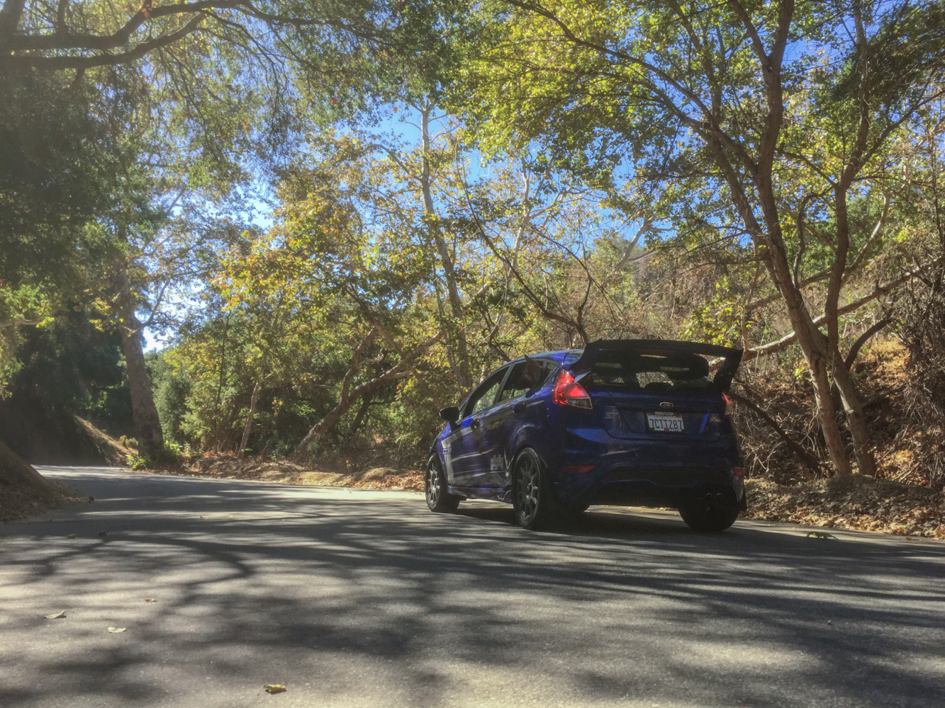 fiesta-st-turnbull-11