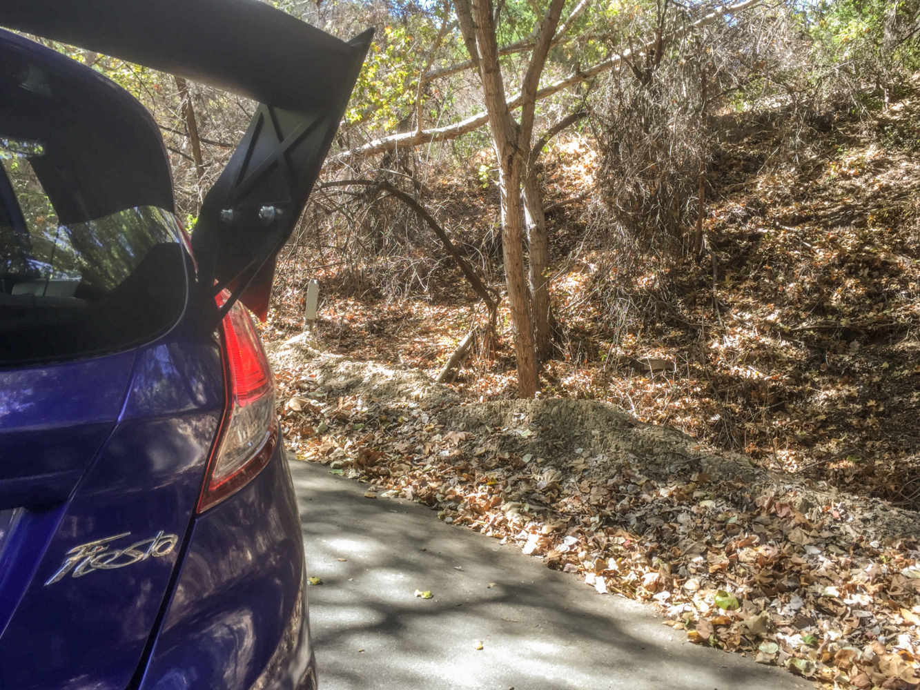 fiesta-st-turnbull-16