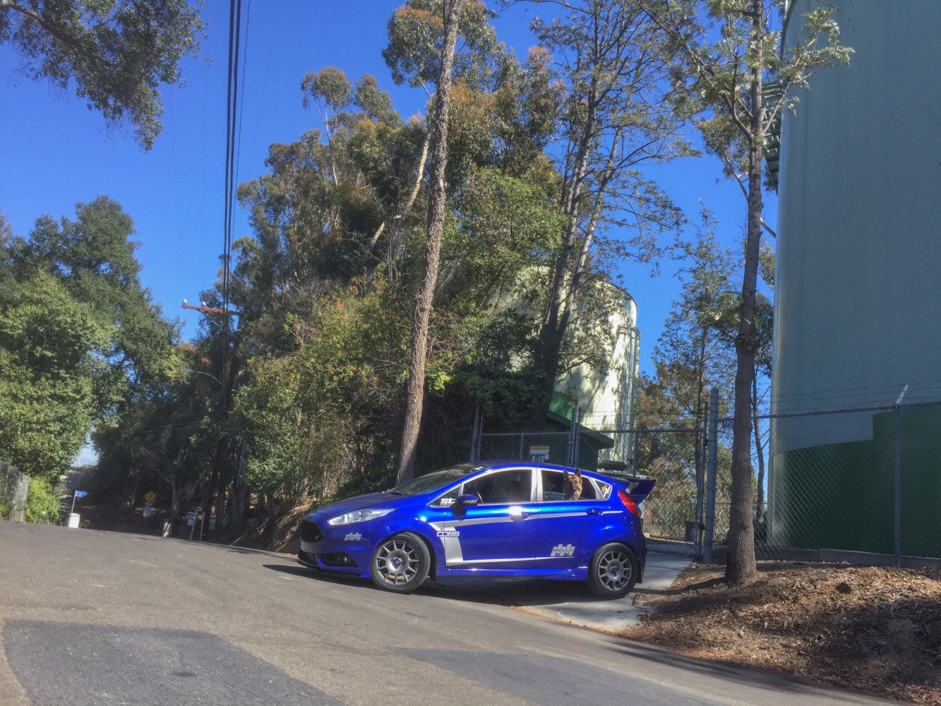 fiesta-st-turnbull-20