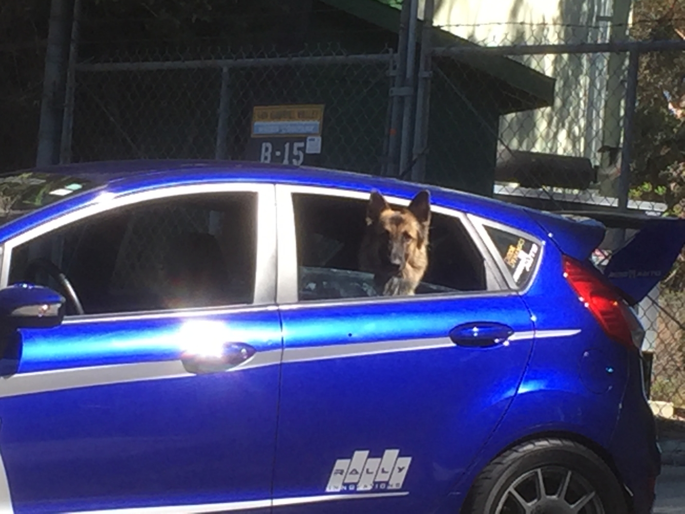 fiesta-st-turnbull-22