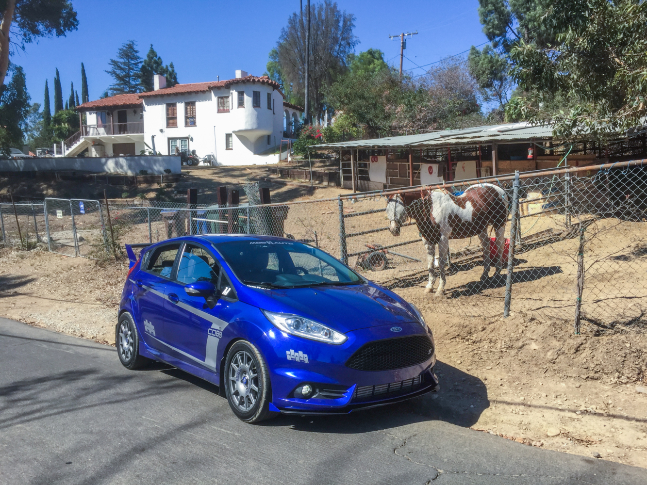 fiesta-st-turnbull-25